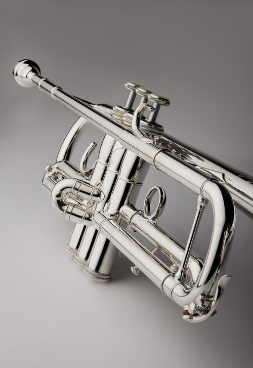 S.E. Shires Q Series B Flat Trumpet TRQ10RS