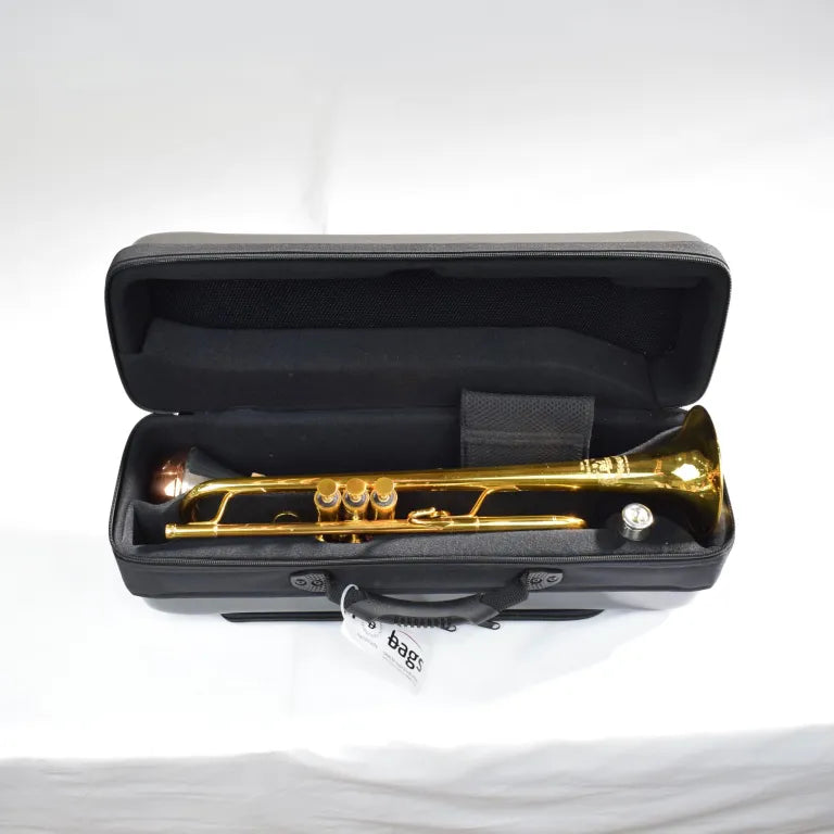 Bags of Spain Single Trumpet Flight Case EV-3