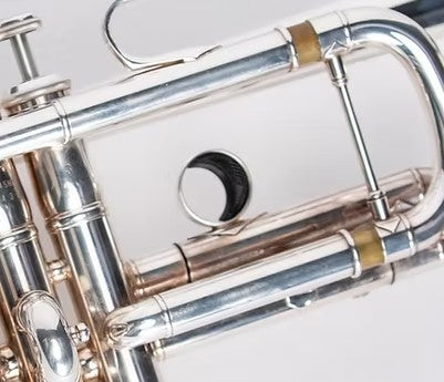 Trumpet Gapper