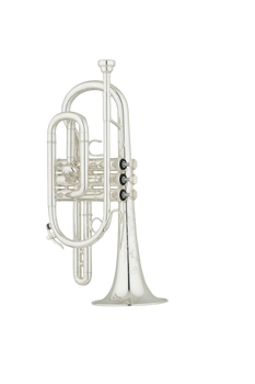 S.E. Shires Bb Cornet